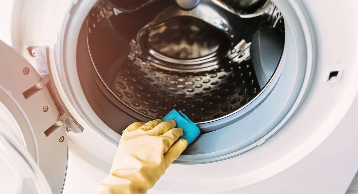 ‘Hidden’ washing machine compartment keeps ‘everything fresh’ | UK | News