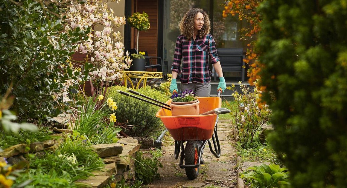 Expert urges gardeners to do 15 crucial jobs in March