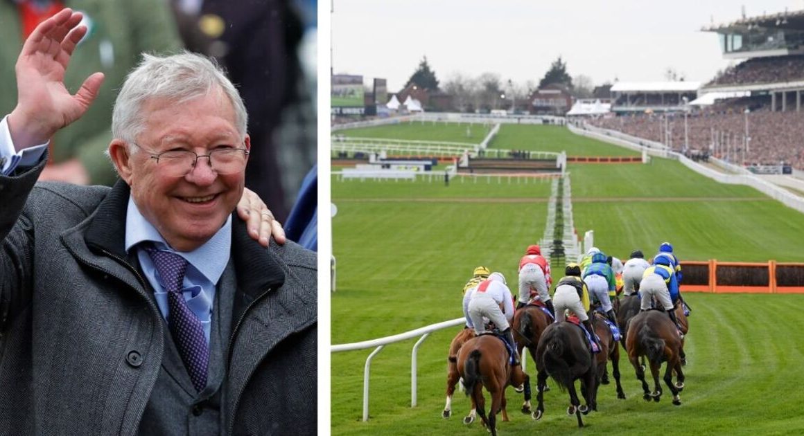 Cheltenham Festival results LIVE: Two Sir Alex Ferguson horses to race on day one | Racing | Sport