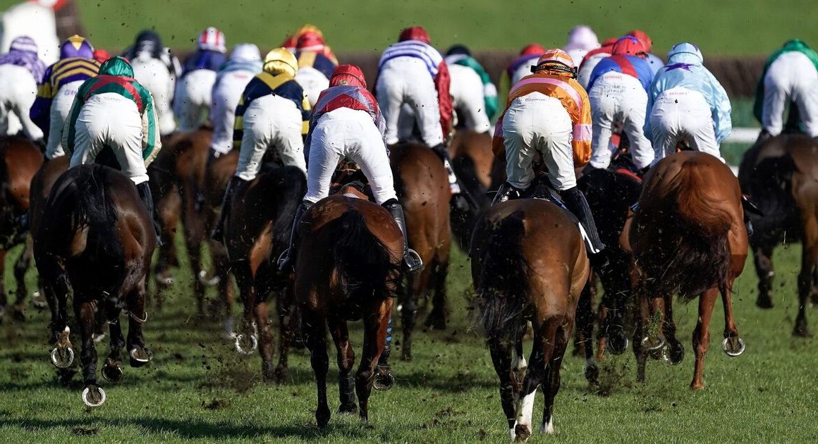 Cheltenham Festival fans risk £1,000 fine just for watching races this week | Racing | Sport