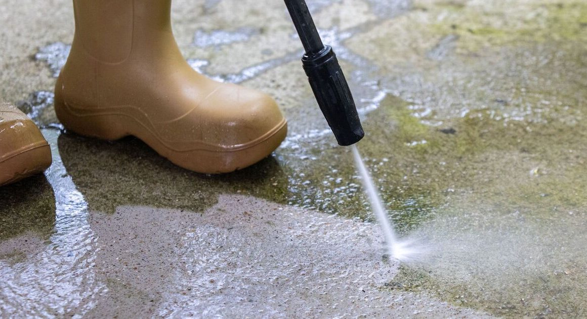 Green patio stains will disappear ‘for good’ by cleaning it with 55p item