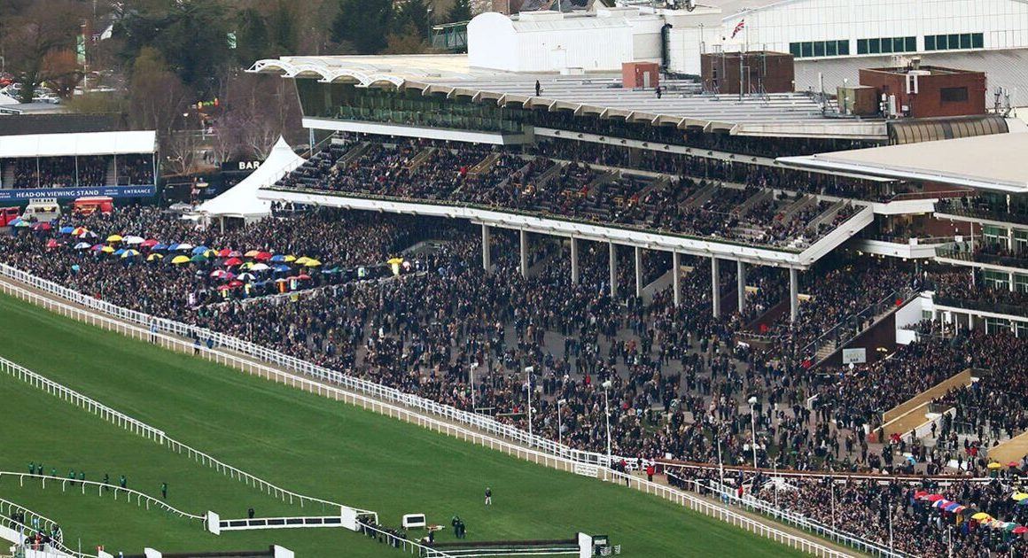 Cheltenham Festival fury as pub introduces strict rule | UK | News