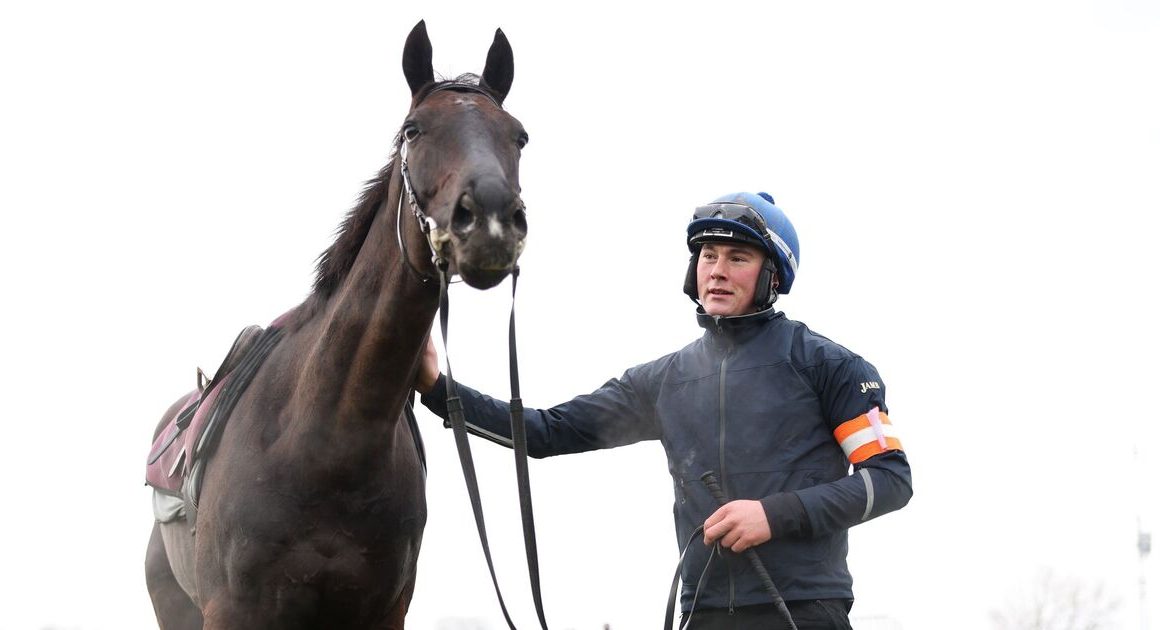 Cheltenham Gold Cup results LIVE: Day 4 tips, updates as Galopin Des Champs eyes history | Racing | Sport