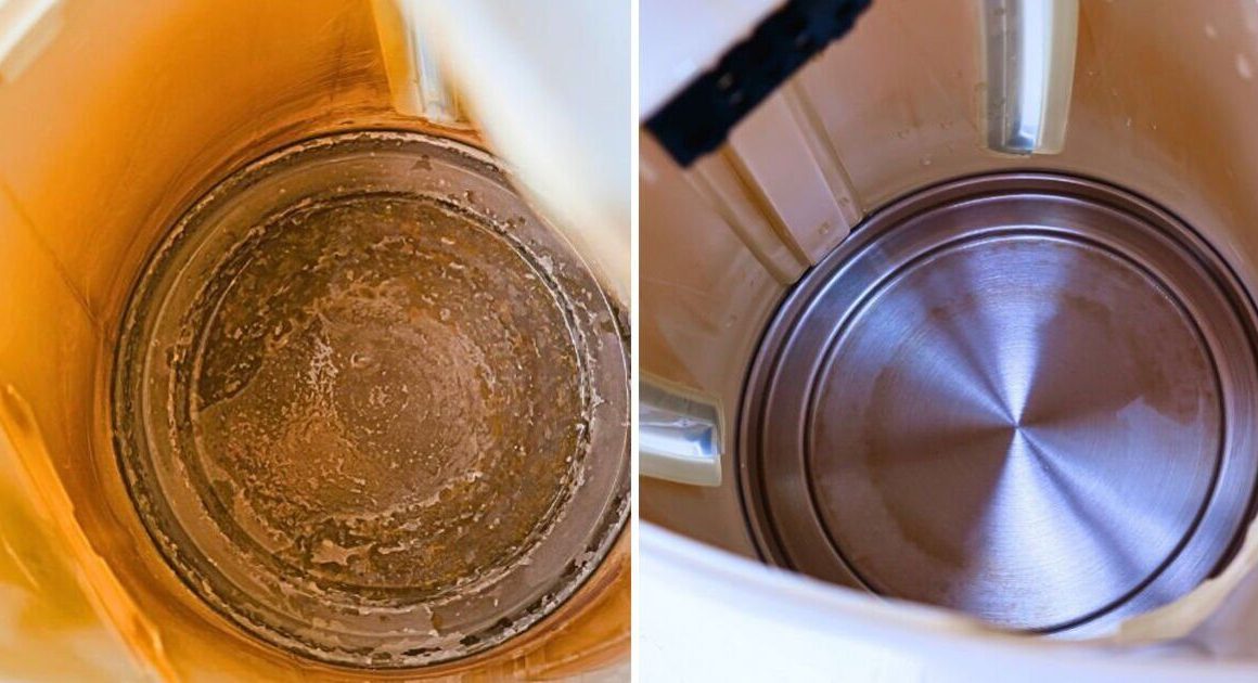 Kettle limescale disappears like magic in 10 minutes if you boil 1 natural item