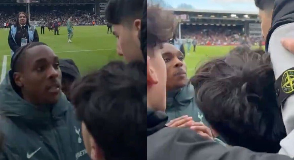 Tottenham star pulled out of crowd after addressing angry fans following Fulham loss | Football | Sport